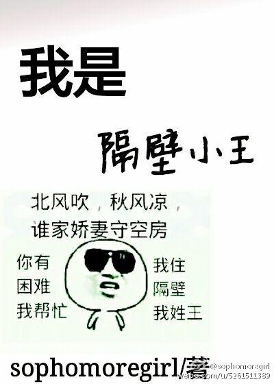 我是隔壁老王歌词