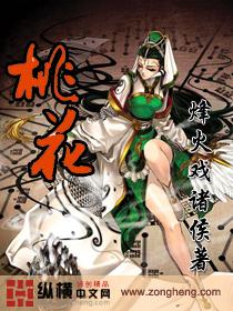 桃花坞总导演回应审美疲劳