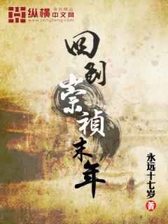 穿越回崇祯时期当太子的