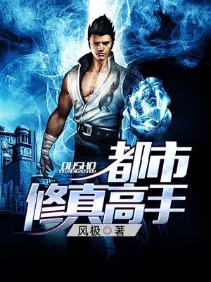 都市修真高手 风极