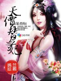 暴君的替身宠妃作者影语流光