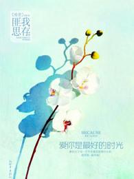 爱你是最好的时光完整免费阅读