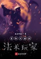 霍格沃兹的法术玩家笔趣阁