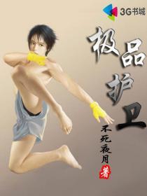 极品护卫动画视频