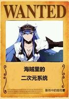 海贼类系统完结