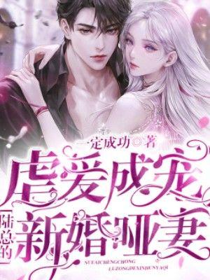 虐爱成宠陆总的新婚哑妻未减删版