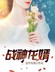 战神龙婿动漫正版观看渠道