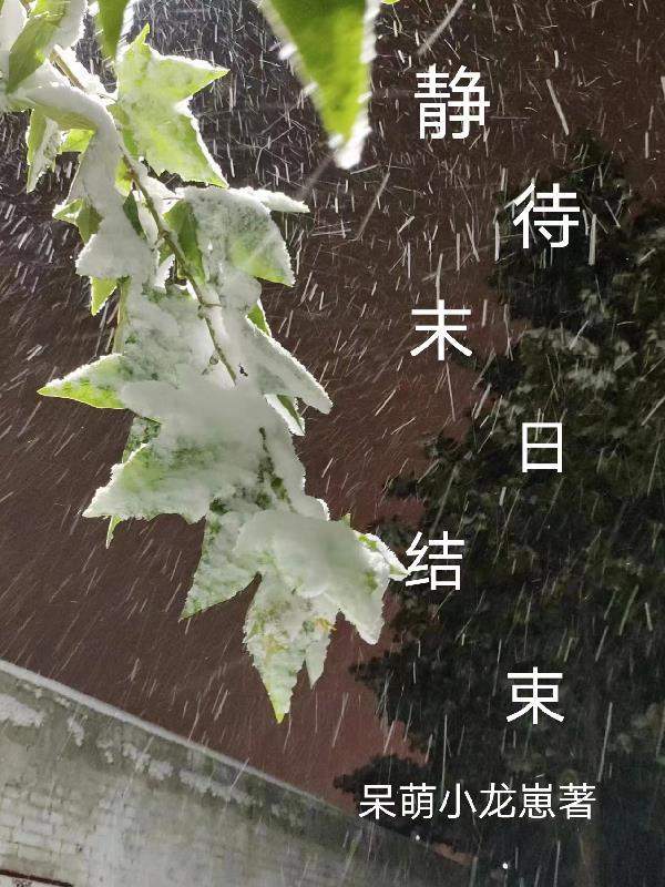 末日人机结束