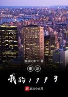 重返我的1993笔趣阁在线阅读