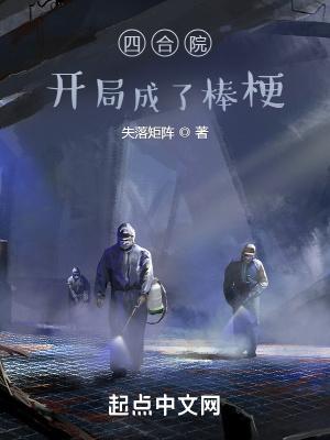 四合院开局成为