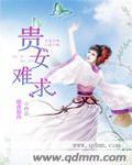 贵女难求故事梗概详细