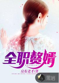 全能女婿叶辰最新章节