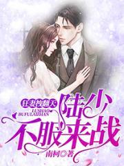 陆少甜妻免费阅读