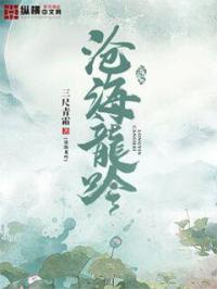 沧海龙吟什么时候出的