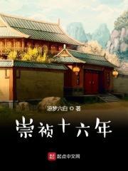 崇祯十六年全文免费阅读