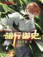 暗行御史电视剧演员