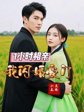 相亲闪婚发现老公是豪门继承人