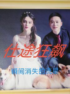 仕途狂飙瞬间消失的流星