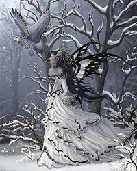 玫瑰金汤利作者滑雪小笼包