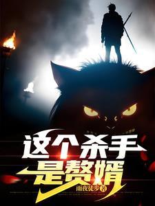 这个杀手是赘婿女主有几个