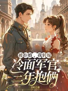 我转嫁冷面军官三年抱俩许诺陆沉