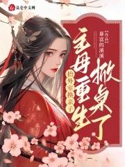 抬外室换亲子主母重生掀桌了