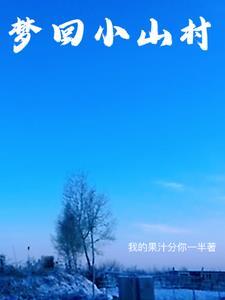 梦回小山村完整版