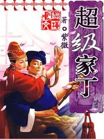 超级家丁全文阅读