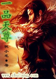 一品天骄全集