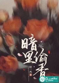 暗里偷香在线观看