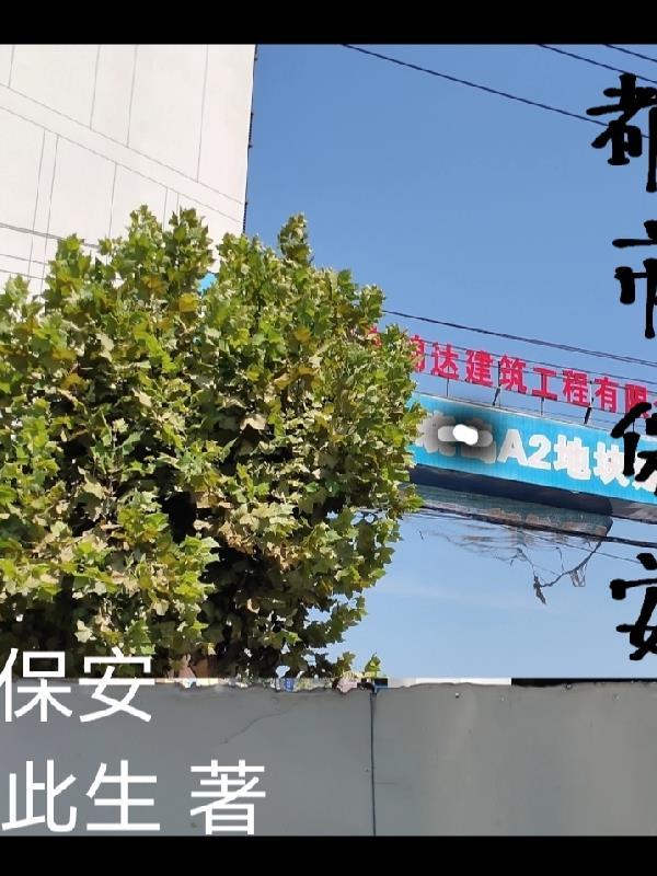 保安在都市全集