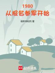 1980从报名参军开始全本