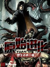 原始进化者赛车