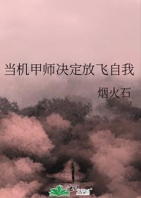 机甲师什么意思