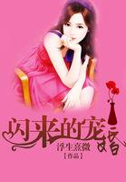 闪来的暖婚全文免费阅读宗