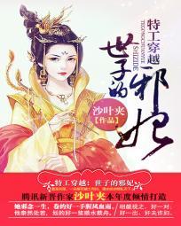 特工穿越成太子妃