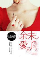余爱未了完整