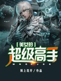 美女的无敌高手